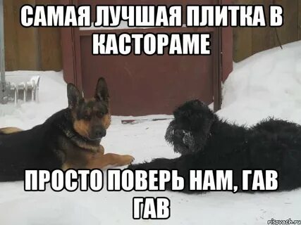 Песня моя собачка дороже тебя гав гав