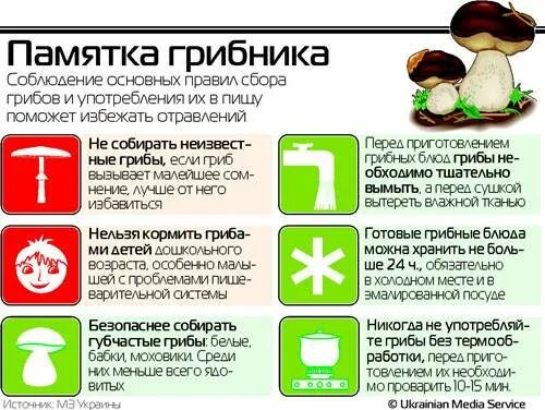 Со скольки можно давать грибы ребенку