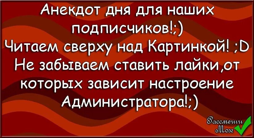 Станешь моим подписчиком читать. Анекдот дня. День анекдотических собраний. Анекдоты текст. Анекдот дня 2023.