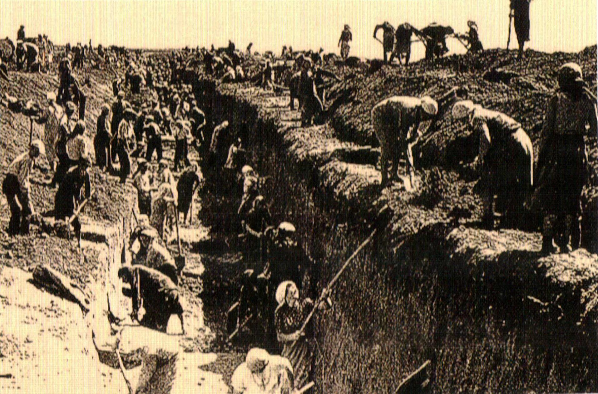 сурский рубеж противотанковые рвы. сурский рубеж противотанковые рвы. блокада ленинграда женщины рыли окопы вокруг города. лето 1941 рытье противотанковых рвов. москвичи роют противотанковые рвы.