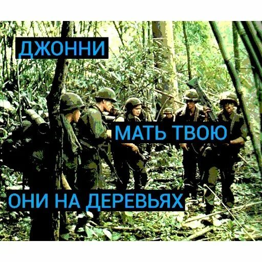 Джонни они на деревьях. Чертовы гуки джонни. Джонни они на деревьях. Вьетнам гуки на деревьях. Вьетнамские флешбеки гуки.