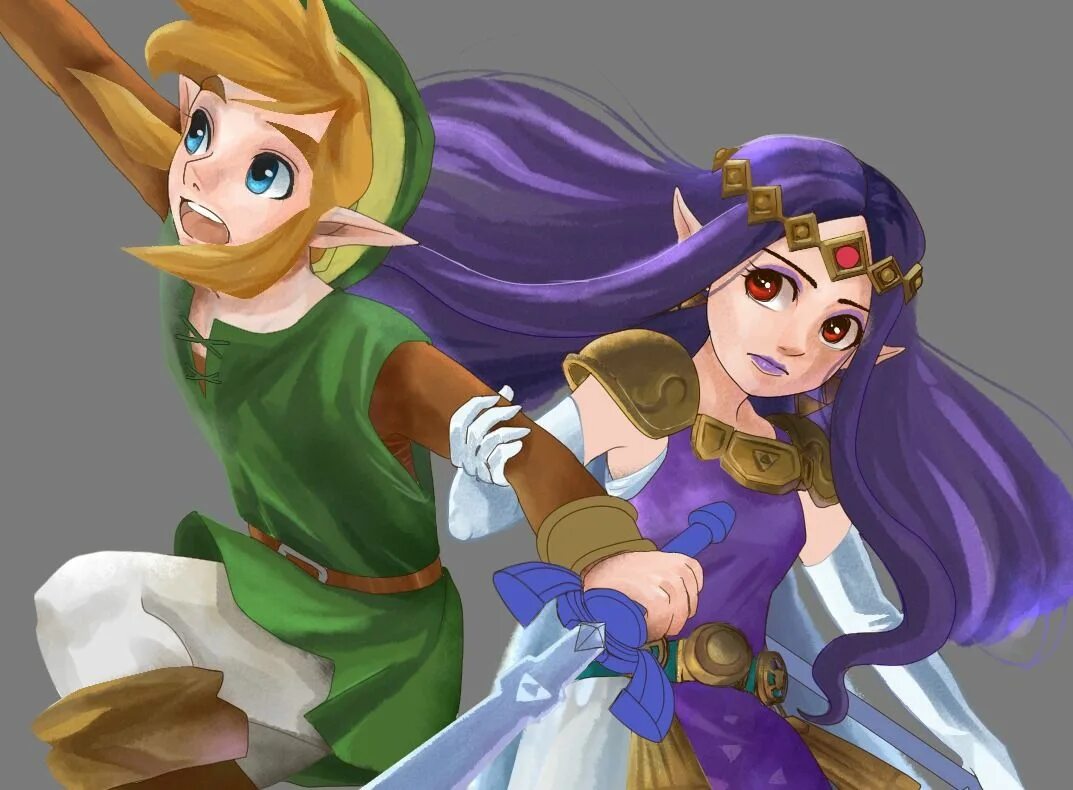 The legend of zelda breath of the wild фото. Принцесса спасает себя сама. Save zelda. Каньон элдин зельда. Save zelda.