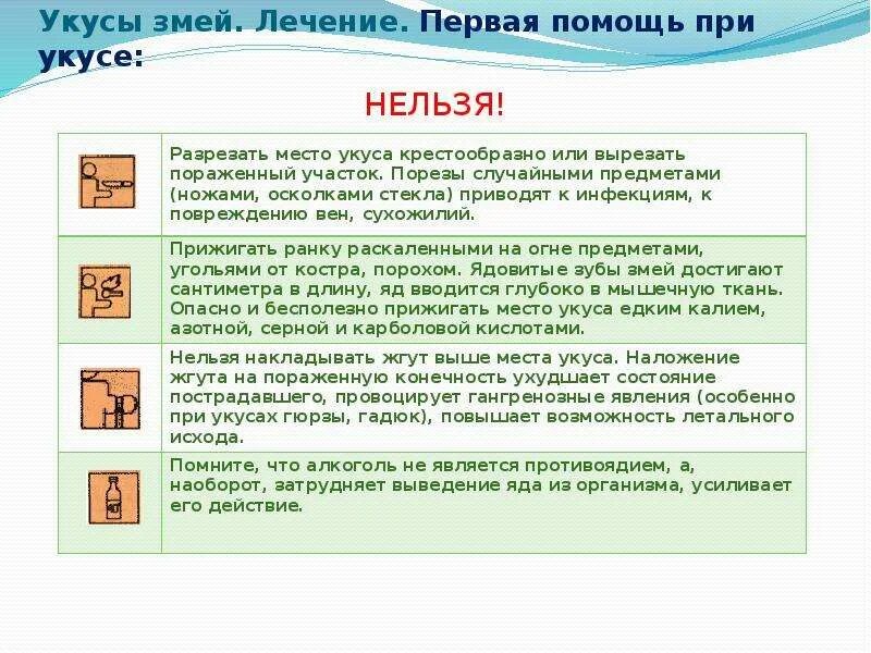 Помощь при укусе змеи. Первая помощь при укас змейц. действия при укусе змеи. памятка действия при укусе змеи.