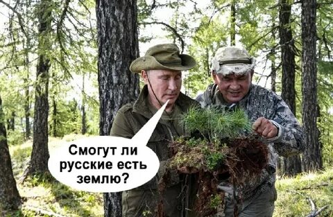 Лета шойгу где ты