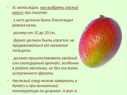 Как выбрать манго в магазине спелый