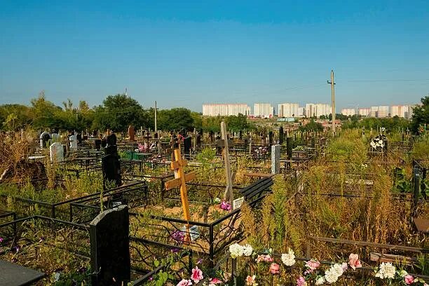 Где раньше были кладбища. Большое кладбище. Сочинское кладбище центральное. Самое большое кладбище в России. Северное кладбище Одесса.