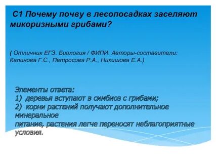 Почему в лесопосадках почву заселяют микоризными грибами