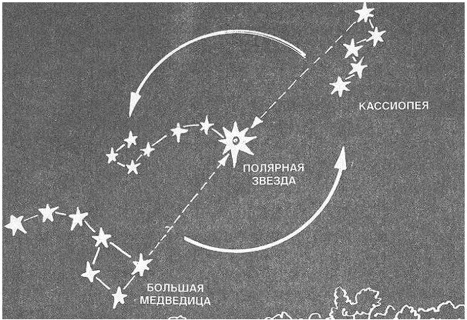 Можно ли с венеры разглядеть малую медведицу. Полярная звезда в созвездии малой медведицы. Большая Медведица и Полярная звезда Кассиопея расположение. Созвездие Кассиопея и Полярная звезда. Движение малой медведицы вокруг полярной звезды.