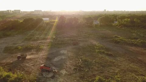 Александровская роща отзывы