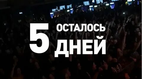 До 5 ноября 2024 осталось