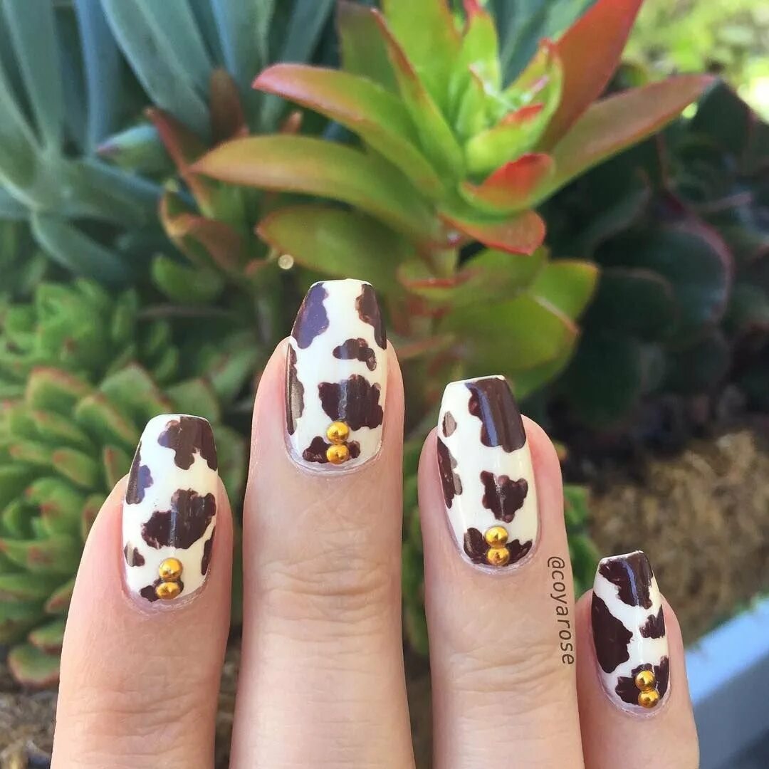 Дизайн ногтей с принтом. Маникюр с коровьим принтом. Маникюр коровка. Ногти с принтом коровки. Маникюр с пятнами коровы.
