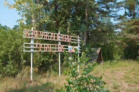Борском отзывы