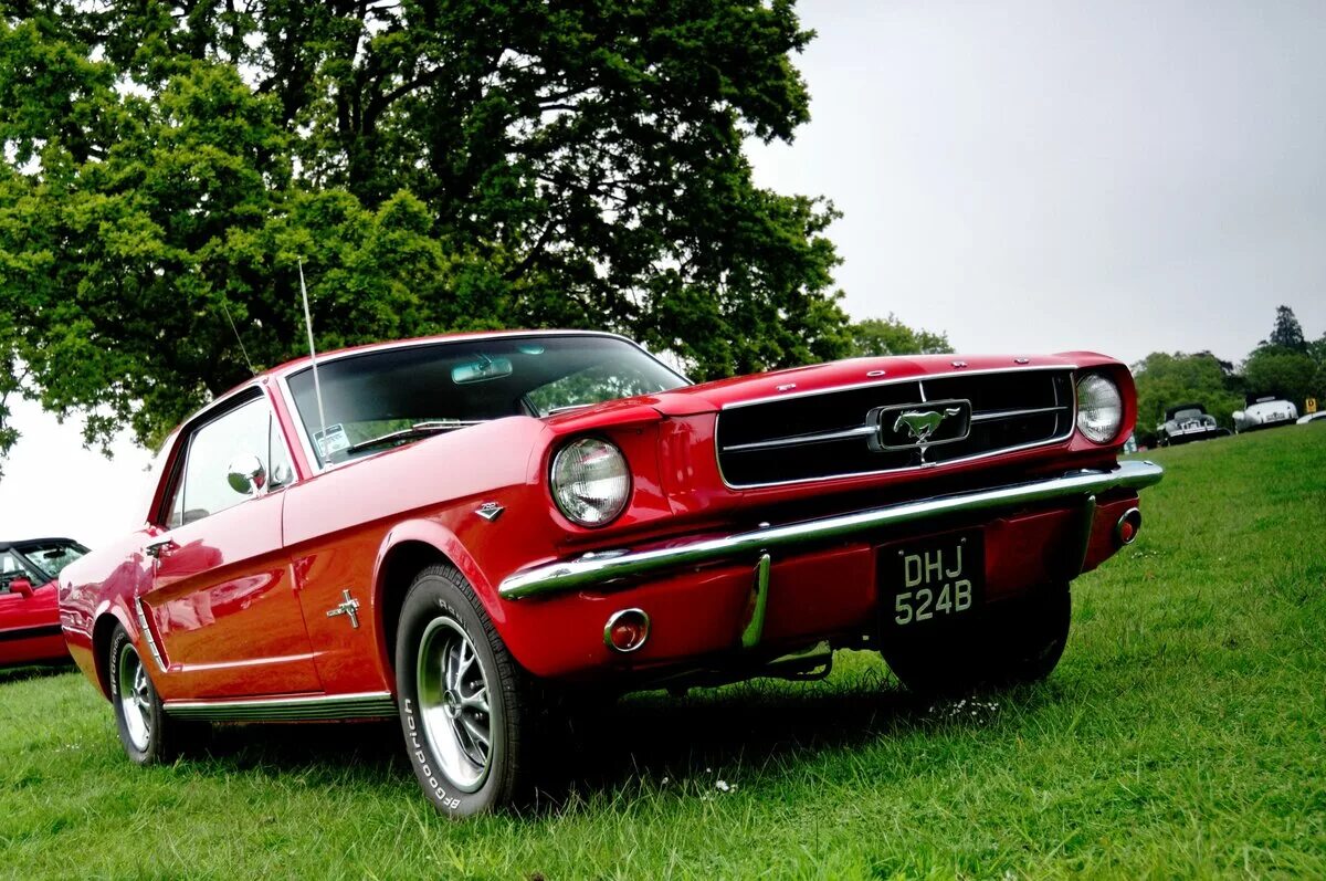 Ford mustang 1964 г в. форд 1964. форд мустанг 1964г. Ford mustang 1964. форд мустанг 1964-1965.