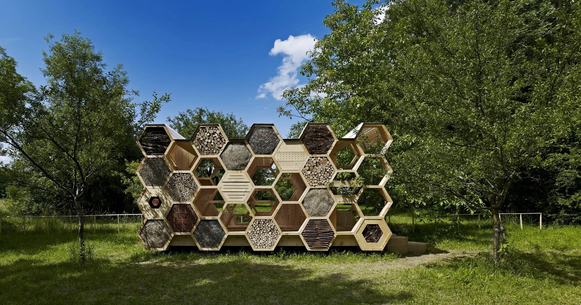 Многоугольники в природе. Соты в улье. Дойти сот. Соты пчелиные. Соты меда.