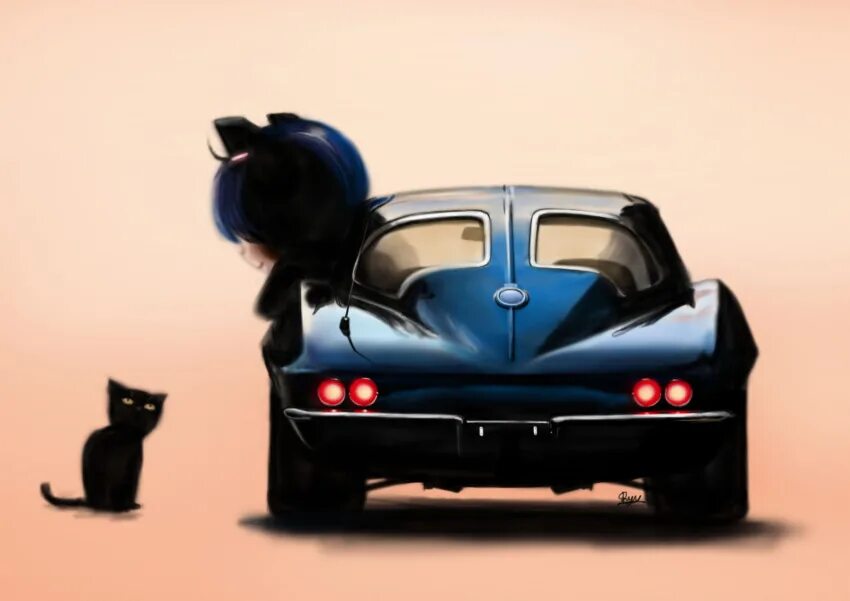 Black cat car