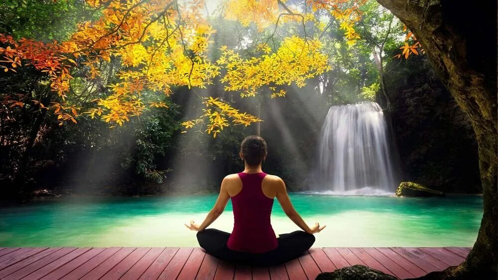 Гармония природы. Медитация на расслабление. Медитация на природе. Природа релакс.