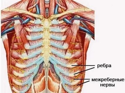 Невралгия справа под ребрами спереди