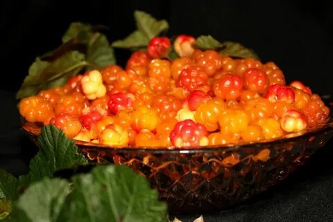 Морошка меню
