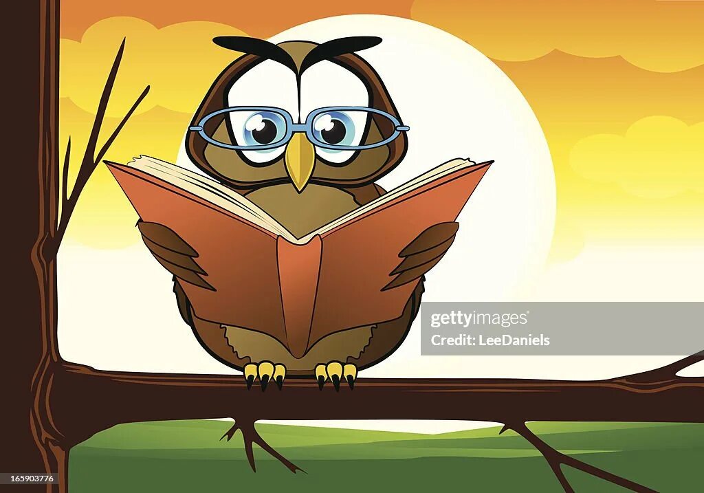 Умная сова. Сова психотерапевт. Крутая сова. Сова мудрости. Морда совы.