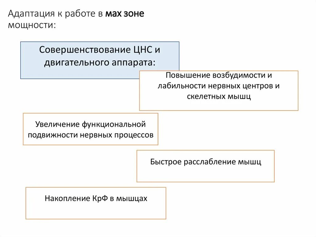 Особенности строения физиологии адаптации поведения животных. Виды адаптации к мышечной работе. виды адаптации физиология спорта. стадии адаптации физиология спорта. адаптация в спорте.