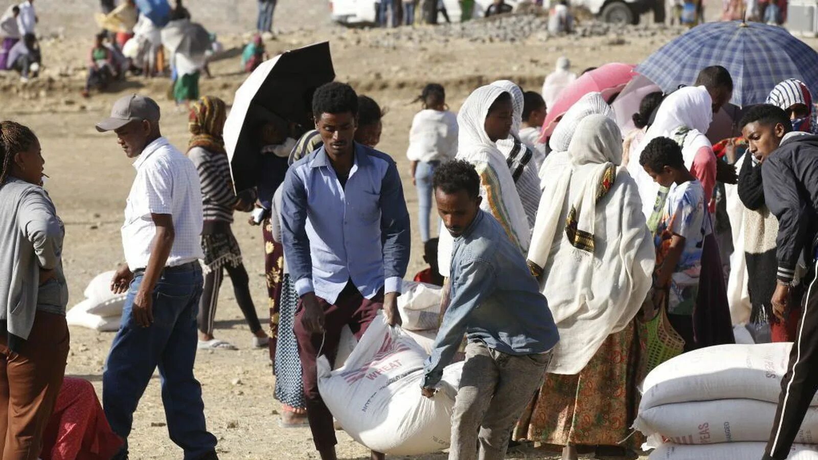 Эфиопия голод 2020 год. Эфиопия гуманитарная помощь.