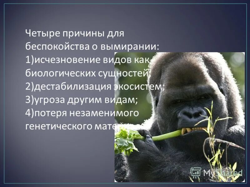 воля исчезающий вид людей