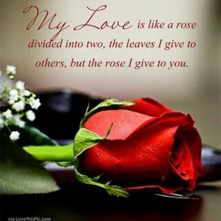 Roses this i love