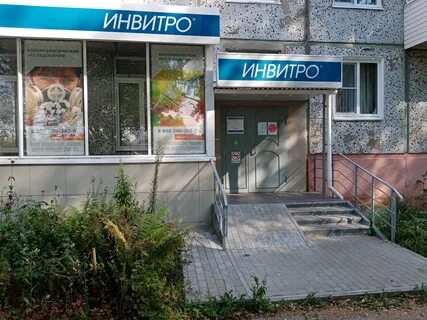 Инвитро узловая телефон