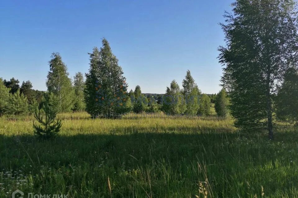Земельный участок сосновка. Земельный участок сосновка. Земельный участок сосновка. Посёлок сосновка новосибирская область. Грошатка в сосновском районе дорога.