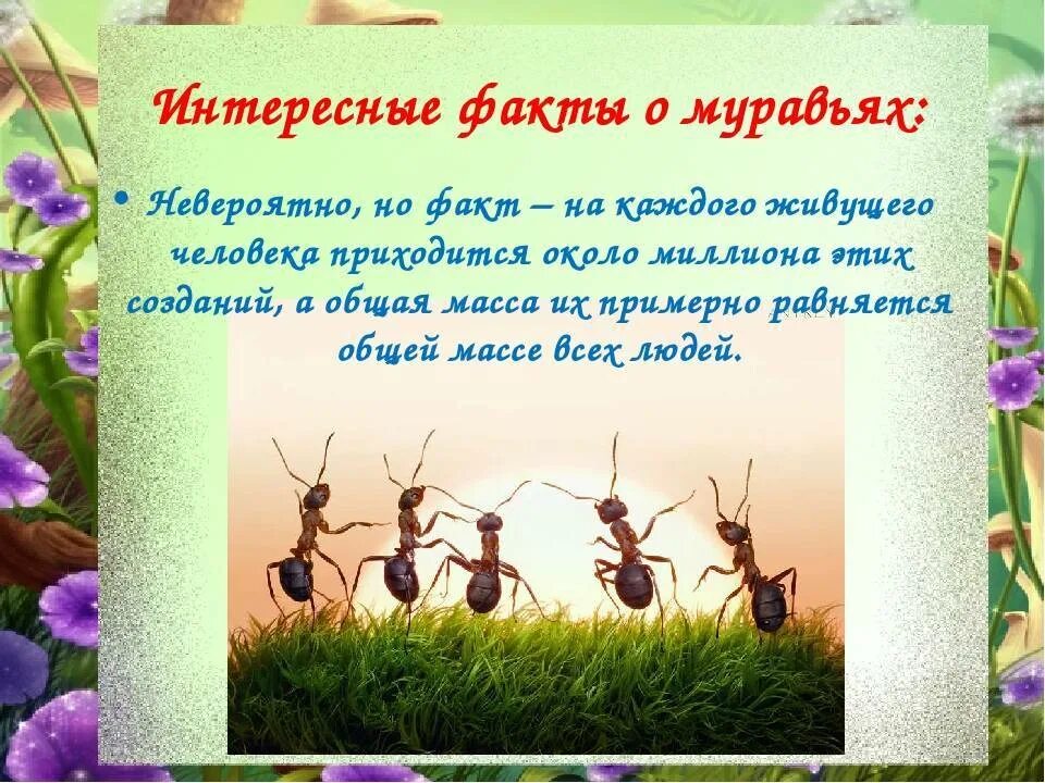 Предложение про муравья. Интересные факты о муравьях. факты о муравьях для детей. интересные факты о муравьях для детей. интересное про муравьев.
