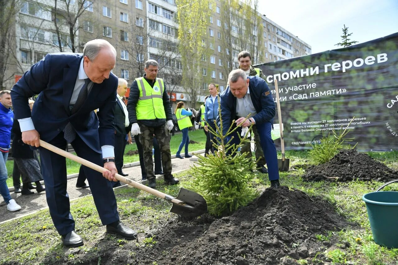 Высадка деревьев акция. Сад памяти Саратов. Сад памяти высадка деревьев. Торжественная посадка деревьев.