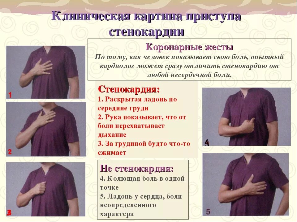 Боль в пояснице справа при наклоне. Левая сторона грудной клетки. Боли при заболеваниях сердца. Болит посередине грудной клетки. Локализация боли в сердце.