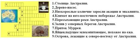 Кроссворд по географии 7 класс австралия
