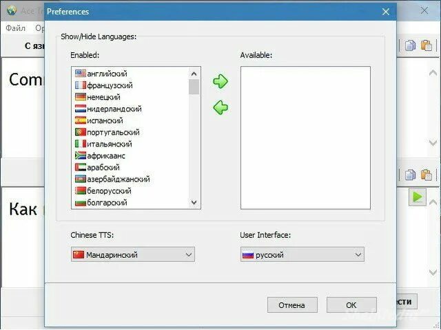 Татсофт переводчик русский на татарский. Ace перевод на русский. 16 Переводчиков. Программа айс клиент как выглядит.