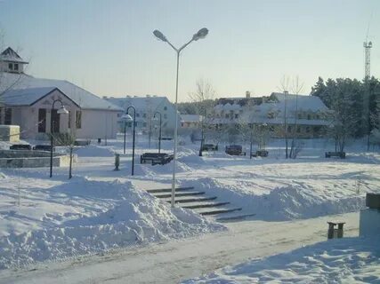 Погода в теси