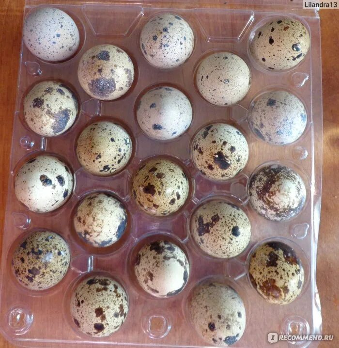 Отличие перепелиных яиц от куриных