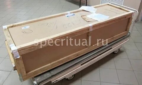 Перевозка гроба с телом самолетом