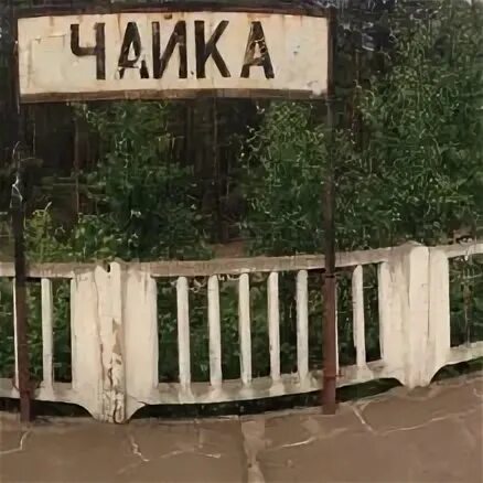 Станция чайка