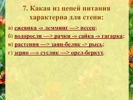 Цепочка степи