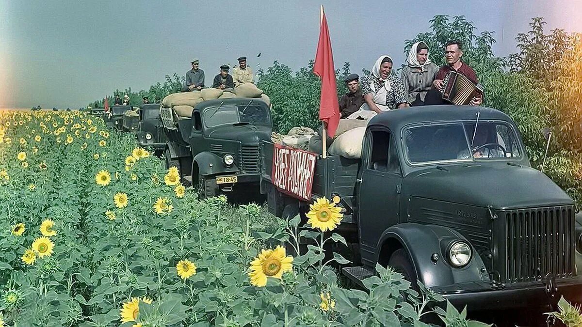 Колхоз имени мичурина. Трактористки советская живопись. Советские о колхозах. Сельское хозяйство целина ссср. Советские о колхозах.