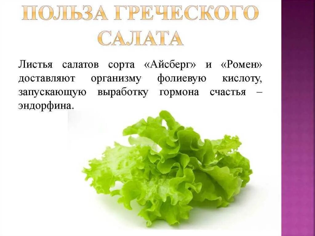 На сколько полезен салат. Салатный лист полезные. Чем полезен салат листовой. Чем полезны листья салата. Чем полезен салат листовой для организма человека.