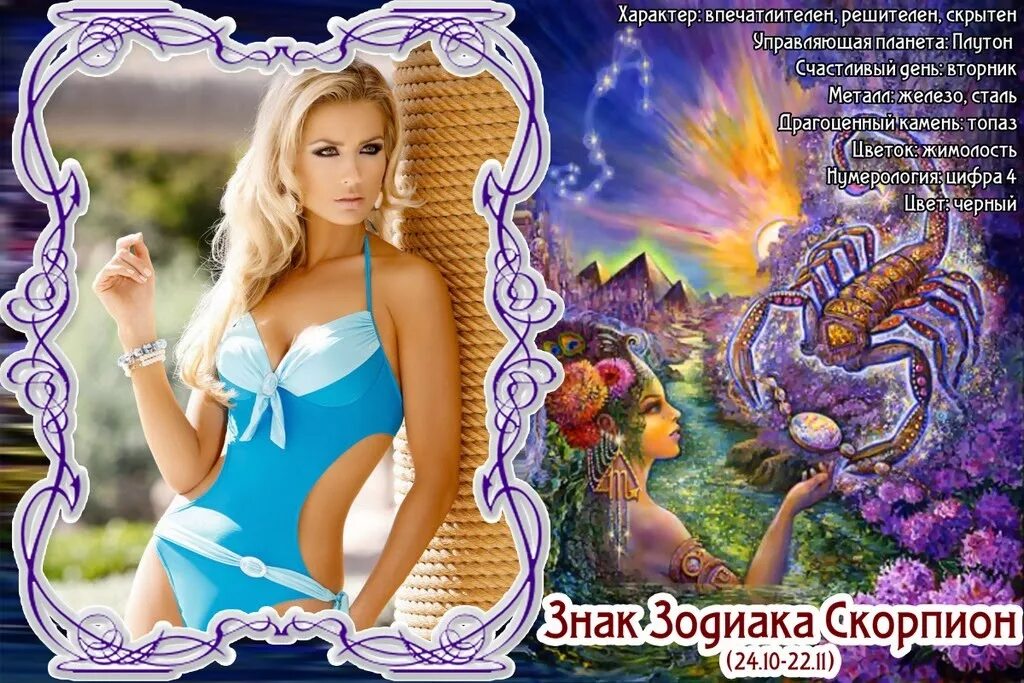 скорпион 26 женщина. скорпион фэнтези. характер скорпиона. тату скорпион на спине. гигантский скорпион.