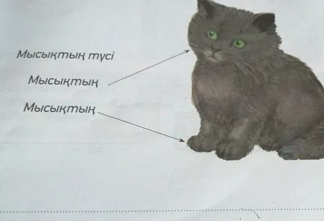 Арманның интерпретациясы: баламен жыныстық қатынас