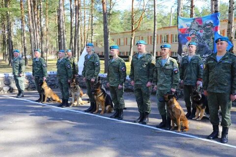 Охранник псков
