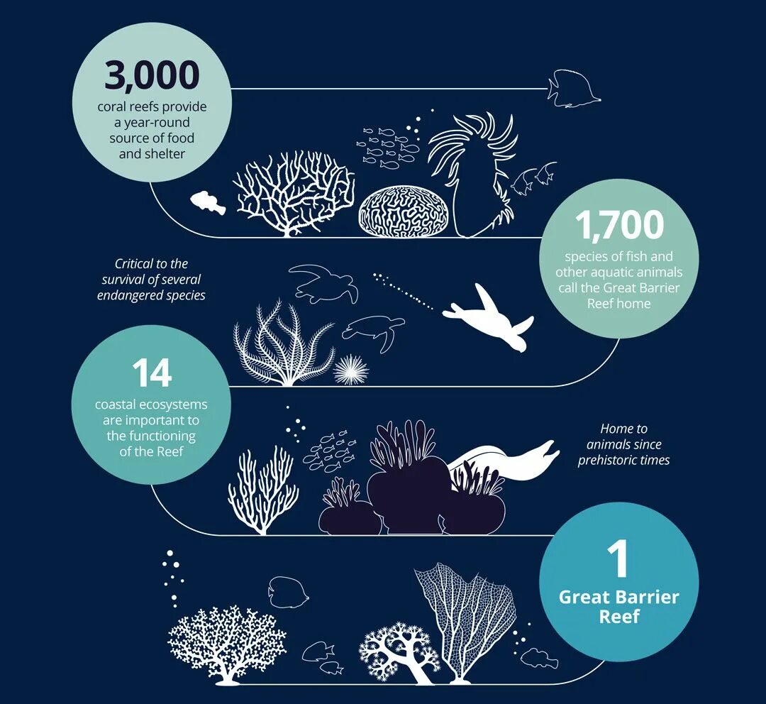 Release reduce adopt reusable endangered species. Защита коралловых рифов. The great Barrier Reef плакат. The great Barrier Reef надпись. Защита кораллов плакат.