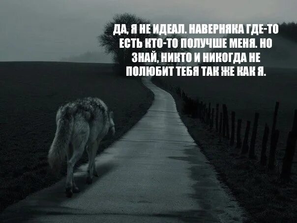 Путь одинокого волка. Одиночество волк до слез. Фото одиноких Волков. Волк всегда одинок. Одинокий волк лучшие песни