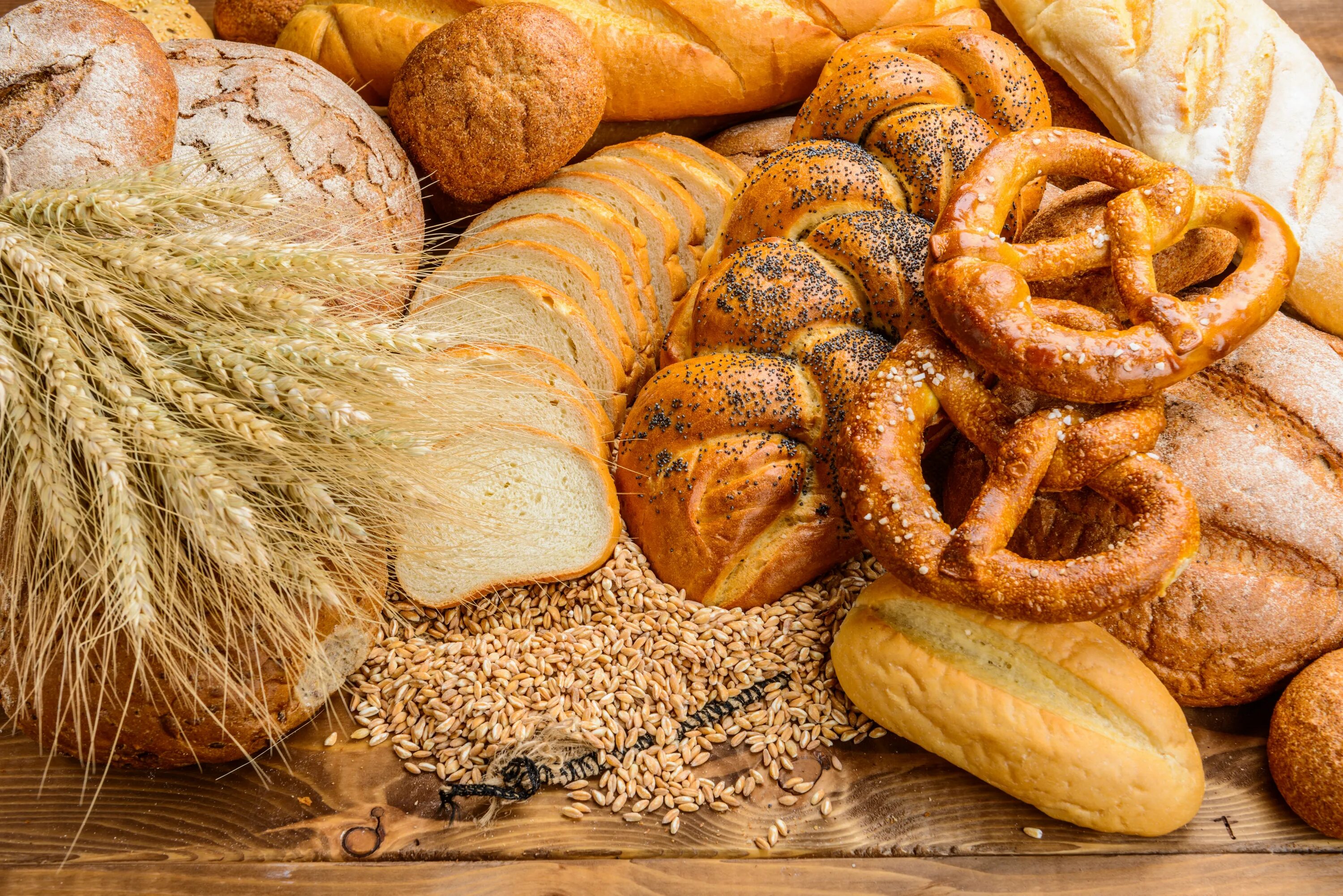 Bread wheat