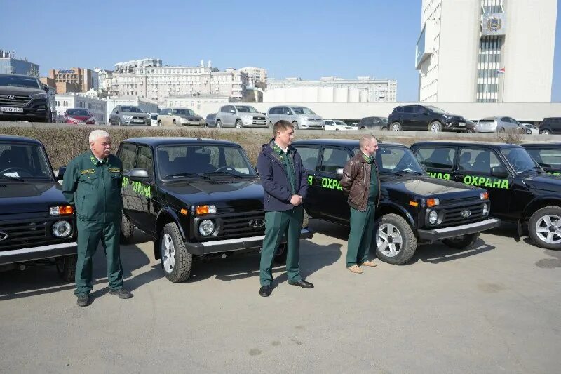 дфо лесное хозяйство