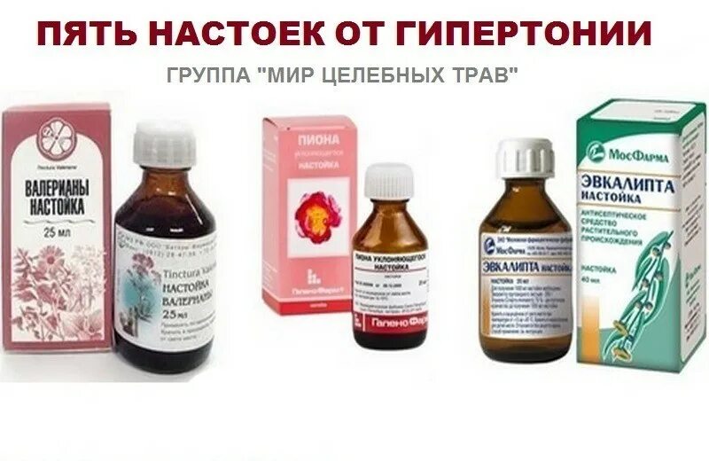 5 экстракт. Настойка от давления. Пустырник валериана боярышник пион корвалол. 5 экстракт. Экстракт черного ореха.