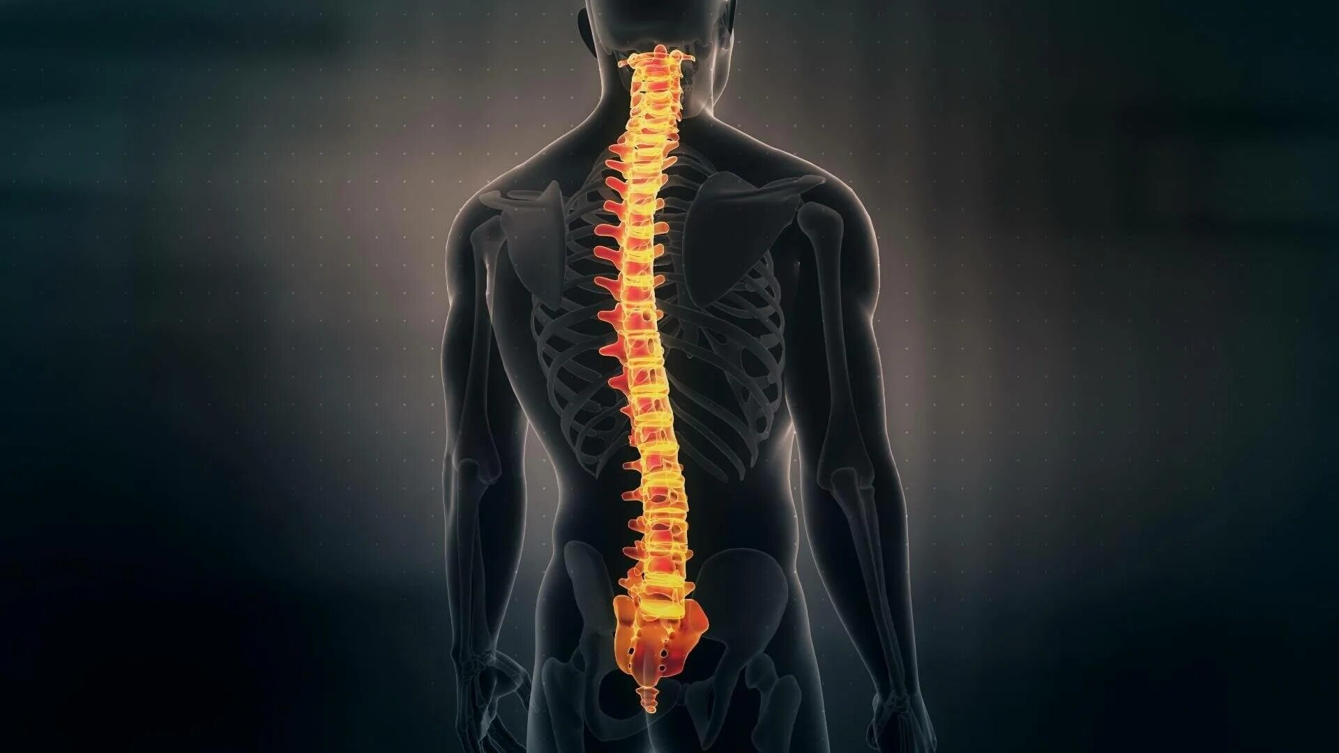 Spine дата выхода